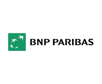 bnp logo