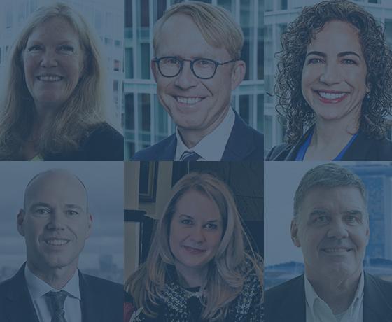 Meet the team